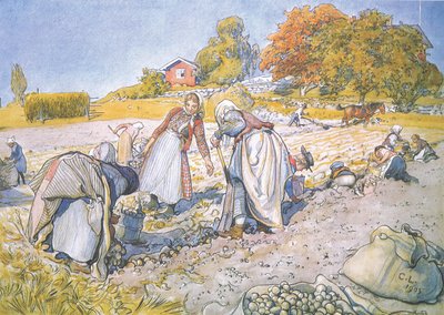 A gyerekek megtöltötték krumplival a vödröket és a kosarakat alkotó: Carl Larsson